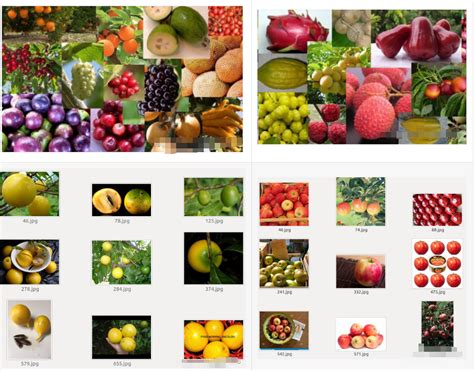 fruit recognition dataset|DeepFruit: A dataset of fruit images for fruit classification and .